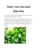 Thuốc Nam chữa bệnh thấp khớp docx