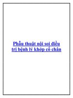 Phẫu thuật nội soi điều trị bệnh lý khớp cổ chân. pptx