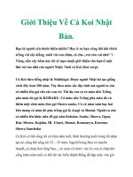 Giới Thiệu Về Cá Koi Nhật Bản. pot