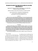 báo cáo nông nghiệp  'ứng dụng chỉ thị phân tử adn trong chọn tạo giống lúa lai hai dòng kháng bệnh bạc lá'
