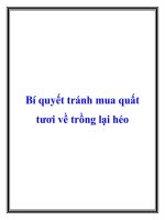 Bí quyết tránh mua quất tươi về trồng lại héo pdf