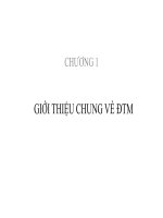 GIỚI THIỆU CHUNG VỀ ĐTM pptx
