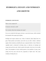 HYDROGEN, OXYGEN AND NITROGEN AND GROWTH doc