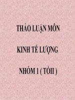 THẢO LUẬN MÔN KINH TẾ LƯỢNG doc