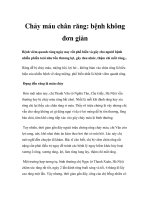 Chảy máu chân răng: bệnh không đơn giản pdf