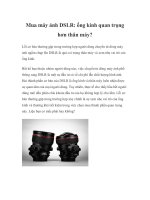 Mua máy ảnh DSLR: ống kính quan trọng hơn thân máy? pot