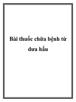 Bài thuốc chữa bệnh từ dưa hấu pot