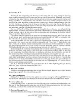 Đề tài về phương trình vô tỷ