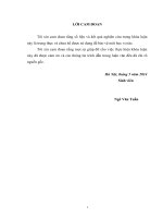 Đánh giá hiệu quả kinh tế chăn nuôi rắn của các hộ nông dân ở xã Vĩnh Sơn, huyện Vĩnh Tường, tỉnh Vĩnh Phúc