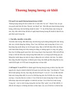 Thương lượng lương cừ khôi doc