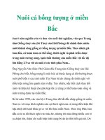 Nuôi cá bống tượng ở miền Bắc potx