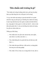 Tiêu chuẩn môi trường là gì? docx