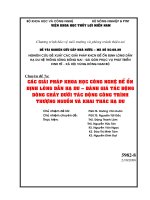 Chuyên đề 7a: CÁC GIẢI PHÁP KHOA HỌC CÔNG NGHỆ ĐỂ ỔN ĐỊNH LÒNG DẪN HẠ DU – ĐÁNH GIÁ TÁC ĐỘNG DÒNG CHẢY DƯỚI TÁC ĐỘNG CÔNG TRÌNH THƯỢNG NGUỒN VÀ KHAI THÁC HẠ DU potx