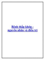 Bệnh thấp khớp nguyên nhân và điều trị potx