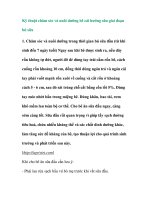 Kỹ thuật chăm sóc và nuôi dưỡng bê cái hướng sữa giai đoạn bú sữa pdf