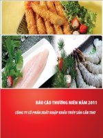 BÁO CÁO THƯỜNG NIÊN 2011 CÔNG TY CỔ PHẦN XNK THỦY SẢN CẦN THƠ docx