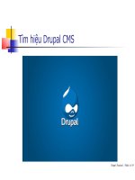 Tìm hiệu Drupal CMS pptx