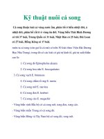 Kỹ thuật nuôi cá song pps