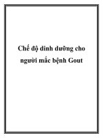 Chế độ dinh dưỡng cho người mắc bệnh Gout doc