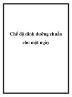Chế độ dinh dưỡng chuẩn cho một ngày pptx