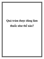 Quả trám được dùng làm thuốc như thế nào? doc