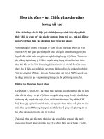 Hợp tác công – tư: Chiếc phao cho năng lượng tái tạo pot