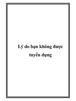 Lý do bạn không được tuyển dụng potx