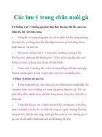 Các lưu ý trong chăn nuôi gà pdf