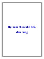 Hạt mùi chữa khó tiêu, đau bụng doc