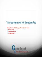 tich hop thanh toan potx