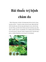 Bài thuốc trị bệnh chàm da doc