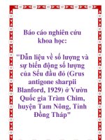 báo cáo nghiên cứu khoa học  ' dẫn liệu về số lượng và sự biến động số lượng của sếu đầu đỏ (grus antigone sharpii blanford, 1929) ở vườn quốc gia tràm chim, huyện tam nông, tỉnh đồng tháp'