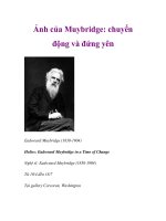 Ảnh của Muybridge: chuyển động và đứng yên pptx