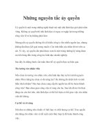 Những nguyên tắc ủy quyền ppsx