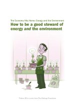 How to be a good steward of energy and the environment potx