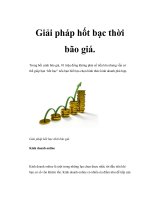 Giải pháp hốt bạc thời bão giá. pptx