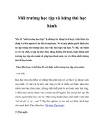 Môi trường học tập và hứng thú học hành pdf