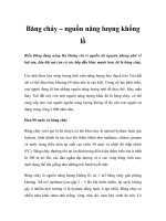 Băng cháy – nguồn năng lượng khổng lồ potx