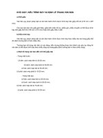 Khổ giấy- Kiểu trình bày văn bản