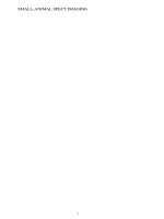 SMALL-ANIMAL SPECT IMAGING pptx