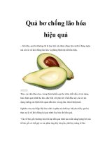 Quả bơ chống lão hóa hiệu quả pps