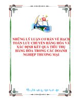 NHỮNG LÝ LUẬN CƠ BẢN VỀ HẠCH TOÁN LƯU CHUYỂN HÀNG HÓA VÀ XÁC ĐỊNH KẾT QUẢ TIÊU THỤ HÀNG HÓA TRONG CÁC DOANH NGHIỆP THƯƠNG MẠI doc