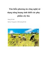 Tìm hiểu phương án công nghệ sử dụng năng lượng sinh khối các phụ phẩm cây lúa doc