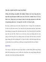 Sắp xếp và phân loại file trong Lion Finder Giống như những sản phẩm tiền pptx