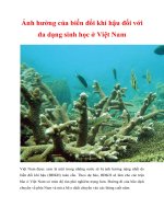 Ảnh hưởng của biến đổi khí hậu đối với đa dạng sinh học ở Việt Nam pdf