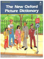 picture dictionary