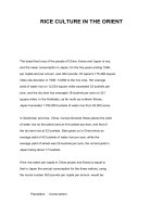 RICE CULTURE IN THE ORIENT ppsx