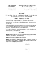 Quyết định số 1192/QĐ-CTUBND pps