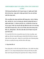 KINH NGHIỆM CHỌN CON GIỐNG TÔM CÀNG XANH CHẤT LƯỢNG potx