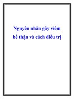 Nguyên nhân gây viêm bể thận và cách điều trị pot